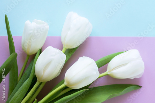 beautiful spring tulips as a symbol of love