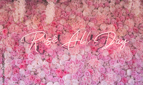 Rose All Day and Everyday