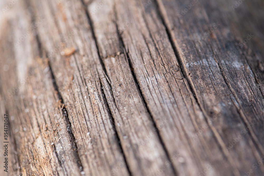 Old wooden background. Natural wooden surface. Selective focus. Shifted and sloping horizon Old wooden background. Natural wooden surface. Selective focus. Shifted and sloping horizon