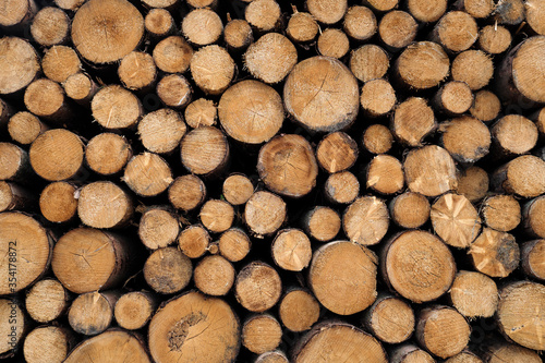 Bildf  llende Aufnahme von geschnittenen Baumst  mmen - Stockfoto