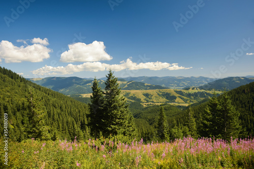 View of the valley from the top on a background of green mountains and blue sky with clouds