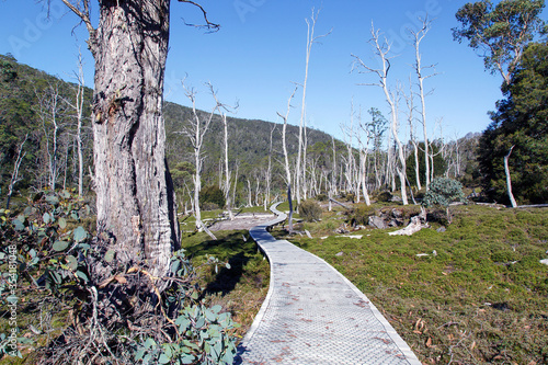 The Overland Track is an Australian bushwalking track traversing Cradle Mountain-Lake St Clair National Park, at the north of the Tasmanian Wilderness World Heritage Area. photo