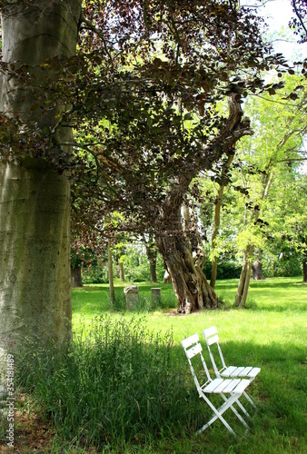 Waiting for - empty chairs in the park