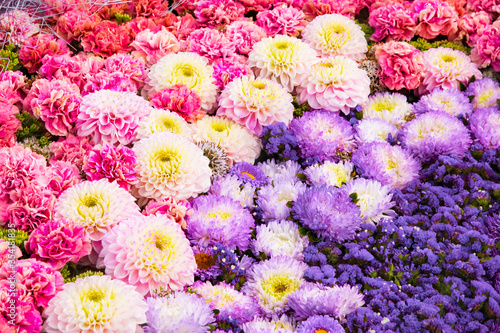 Beautiful autumnal flowers background. Colorful chrysanthemum and carnation flowers. Top view