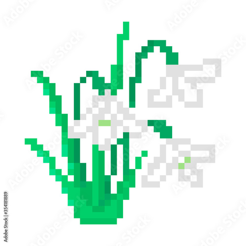 Galanthus (snowdrop) flower, pixel art icon isolated on white background. 8 bit small spring flowering plant symbol. Old school vintage retro slot machine/video game graphics. © Ksenia