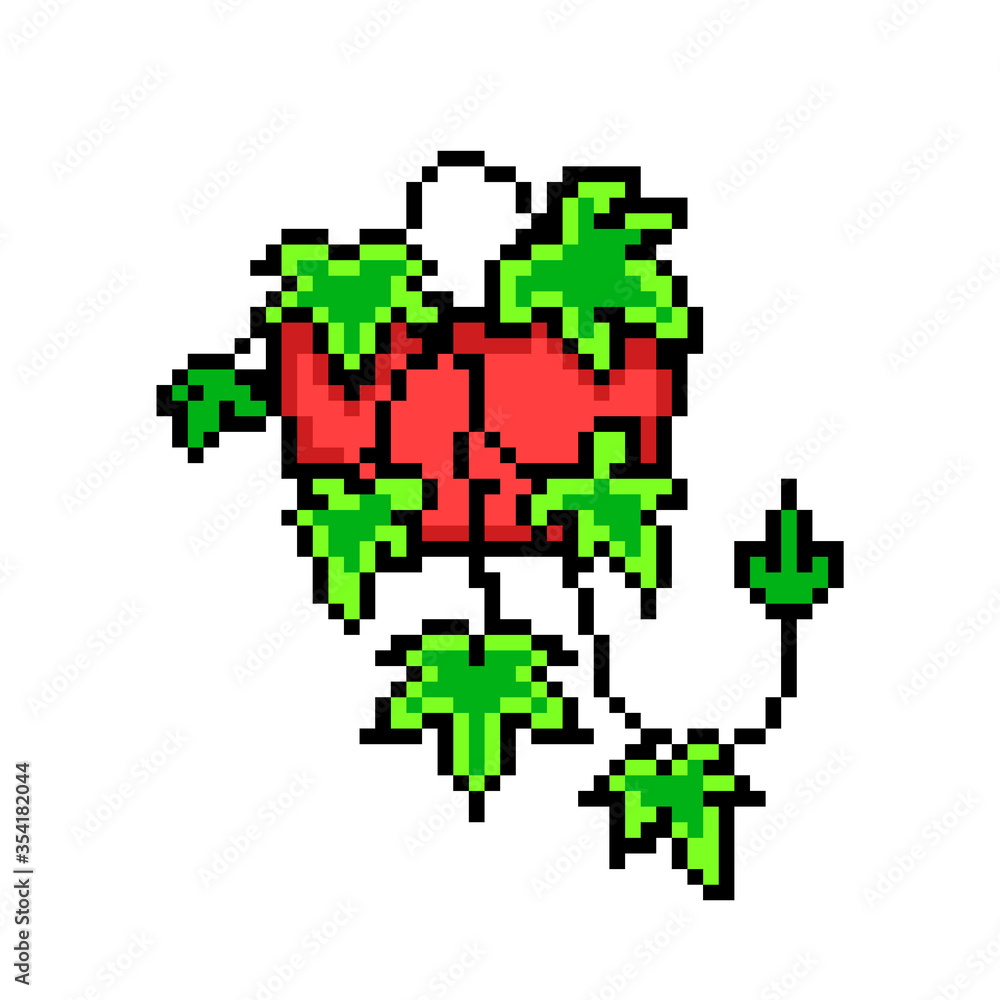 Ivy (Hedera helix) in a pot, pixel art icon isolated on white background. 8 bit decorative houseplant. Home/office interior design element. Old school vintage retro slot machine/video game graphics. Ivy (Hedera helix) in a pot, pixel art icon isolated on white background. 8 bit decorative houseplant. Home/office interior design element. Old school vintage retro slot machine/video game graphics.