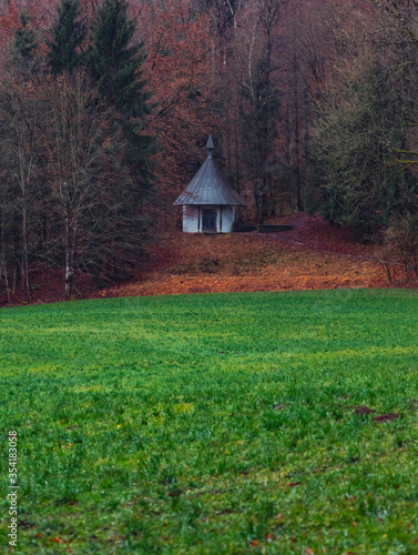 autumn September landscape wooden cabin on forest edge scenic view with green grass meadow and brown falling leaves country side wilderness rural environment space, vertical format picture © Артём Князь