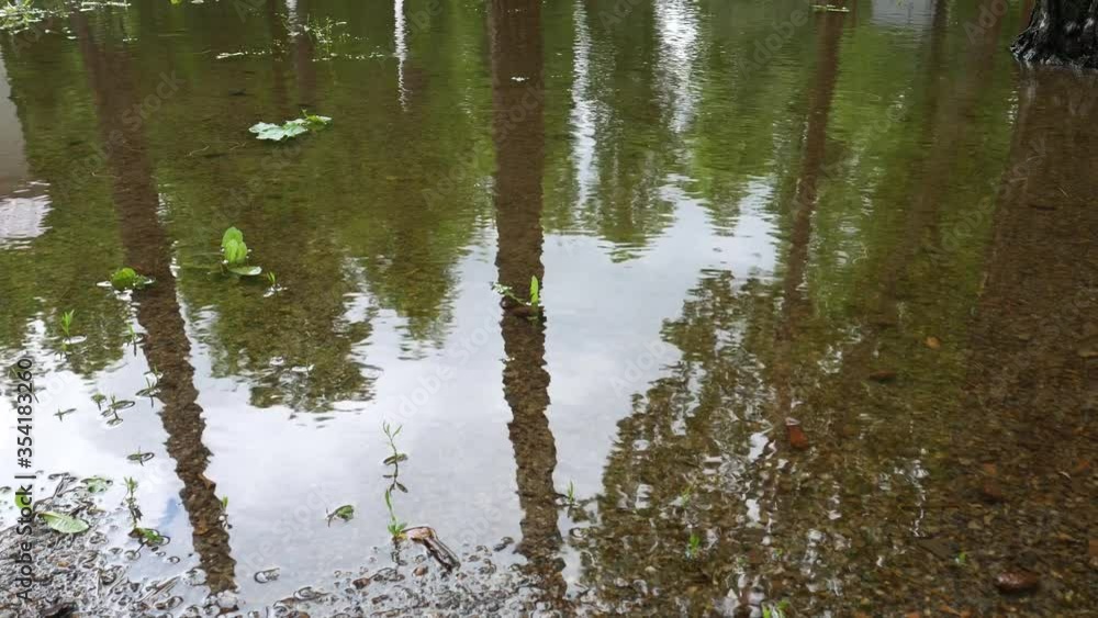 Puddle water surface with ripples. Tree and sky shadows in water reflection. Background. 4K Ultra HD Puddle water surface with ripples. Tree and sky shadows in water reflection. Background. 4K Ultra HD