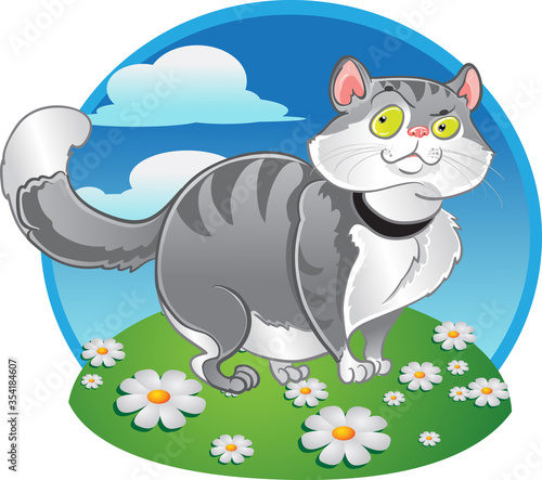 Grey fat cat on the color background