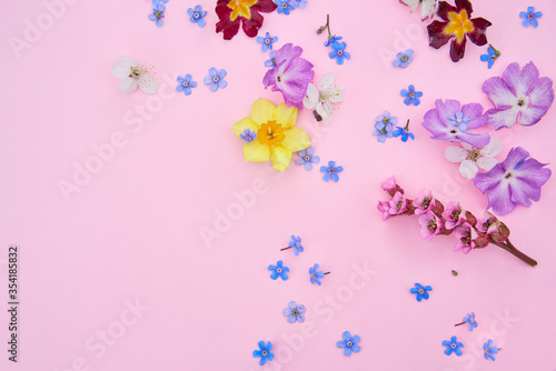 Summer garden flowers frame on the pink background