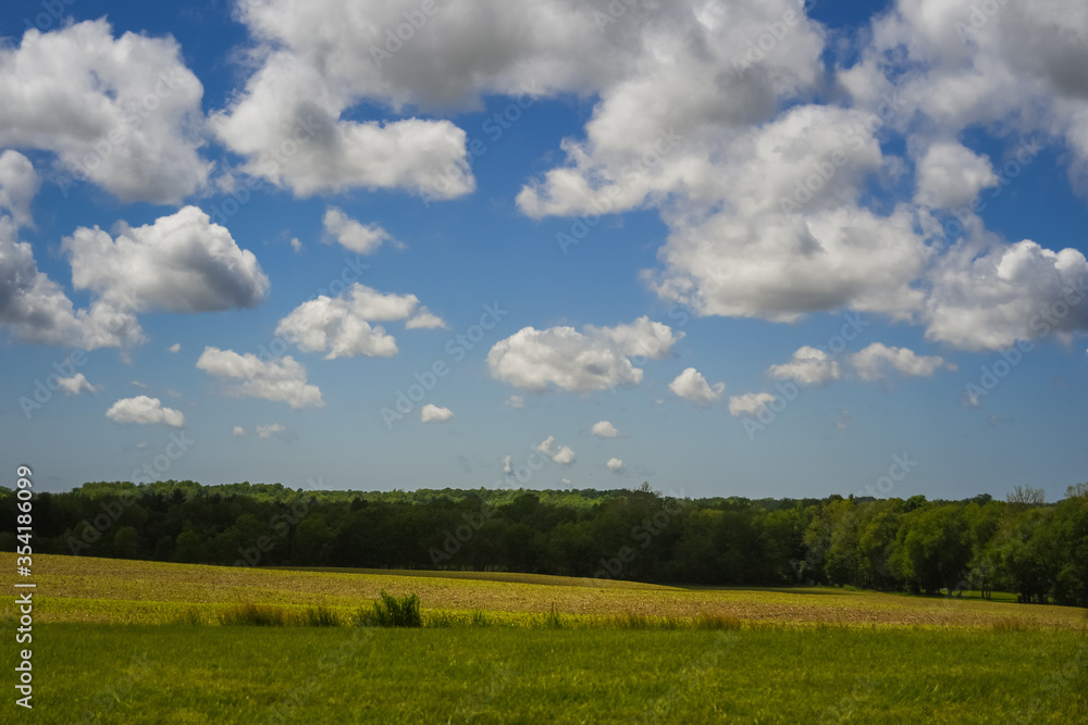 Obraz premium A countryside landscape