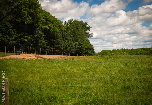 Tree line nest to farm