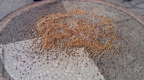 Foto Wheat seeds scattered on a stone table