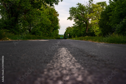 Rural road with trees in Europe  Hungary in summer