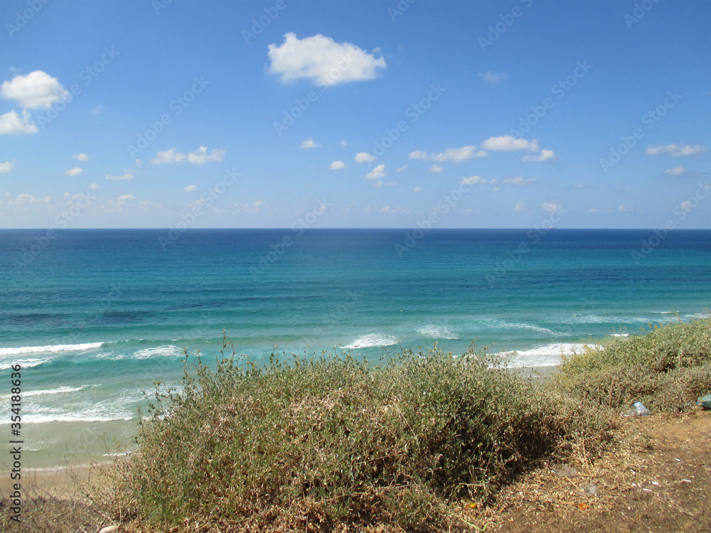 Sunny beach and bushes along the Mediterranean Sea, Israel