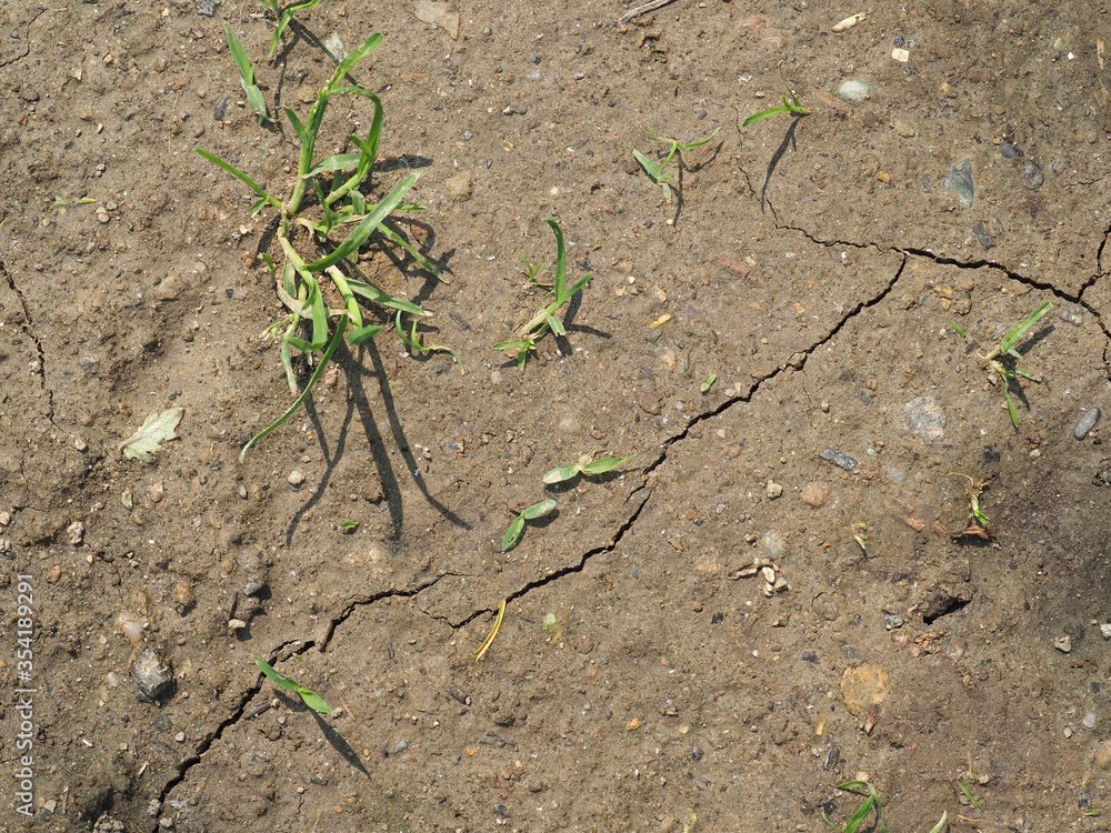 drought caused by climate change