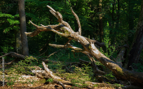 Rotbachtal 1 © Maik