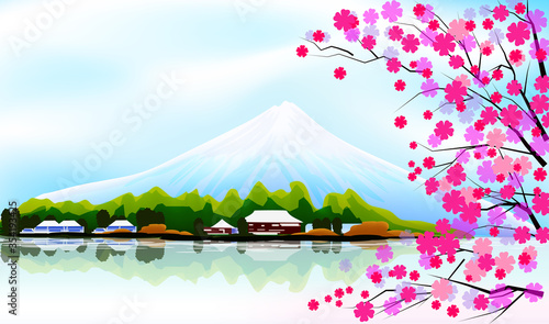 Sakura and fuji mountain