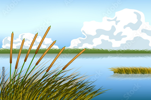 Lake scape and reed grass vector