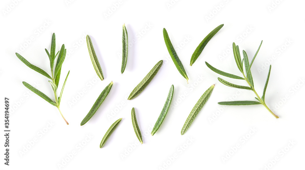 Rosemary on white background Rosemary on white background