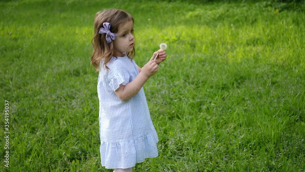 little beautiful girl in a blue dress run in a green field with grass and holds a white dandelion in spring little beautiful girl in a blue dress run in a green field with grass and holds a white dandelion in spring