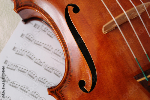 close up of a violin photo