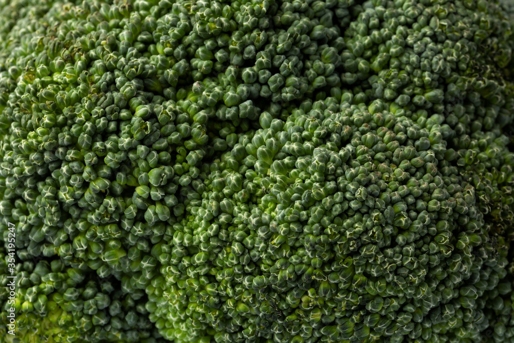 Fresh green broccoli background texture Fresh green broccoli background texture