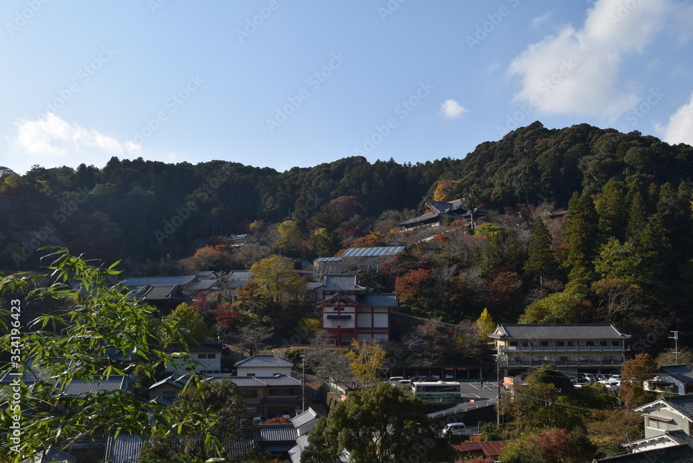 長谷寺遠景