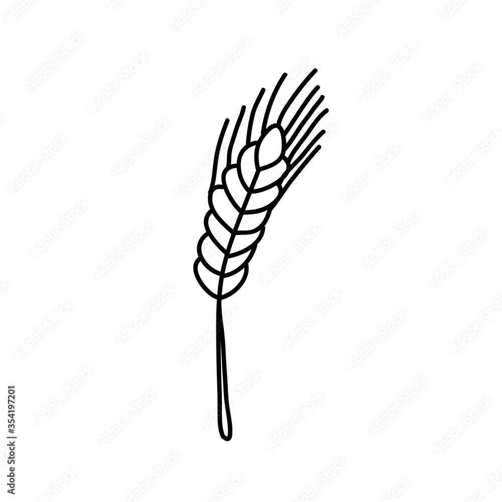 Fototapeta premium wheat doodle icon, vector illustration