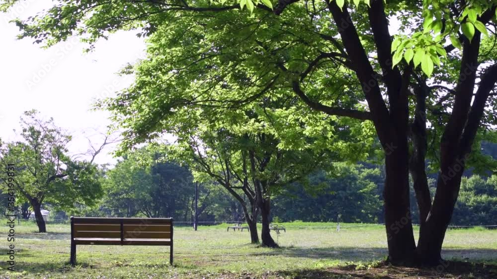 静かな森の広場の奥にはポツンとひとつのベンチがありました 静かな森の広場の奥にはポツンとひとつのベンチがありました