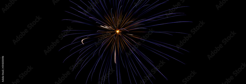 Fototapeta premium Sparkle Fireworks in Night Sky