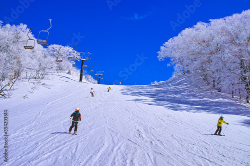 真冬のゲレンデを滑走するスキーヤー達