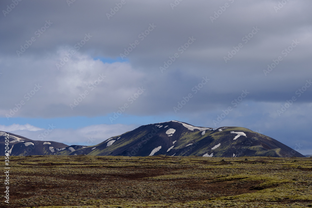 moss and lichen covered ground and beautiful snow covered mountains of Iceland