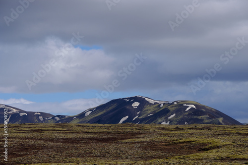 moss and lichen covered ground and beautiful snow covered mountains of Iceland