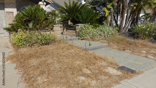 Fotografia Dead lawn in neglected front yard
