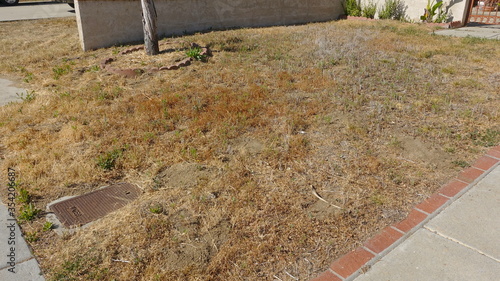 Bilde på lerret Dead lawn in neglected front yard