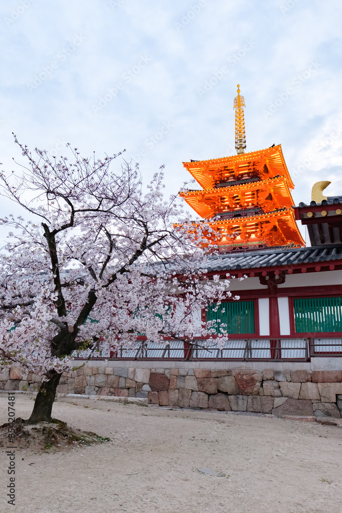 Shitennoji Temple with Sakura in Osaka, Japan Shitennoji Temple with Sakura in Osaka, Japan