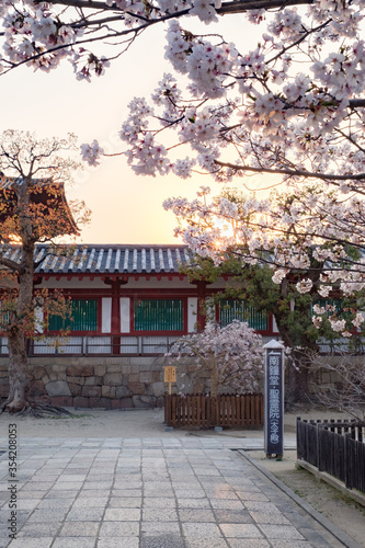Shitennoji Temple with Sakura in Osaka  Japan
