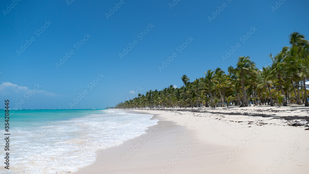 tropical beach with palm trees and sea