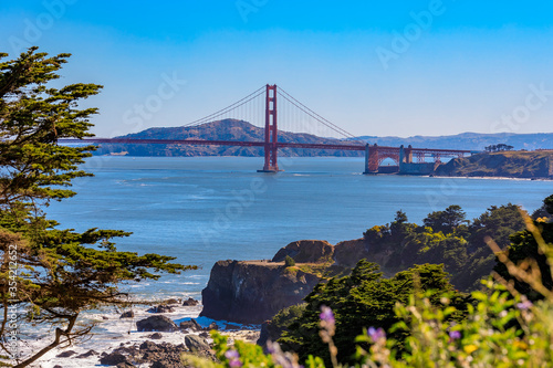 Photography View of the Golden Gate bridge from Lands End cliffs with cypress trees, Pacific