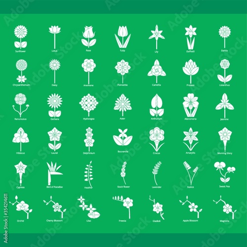 Collection of flower icons