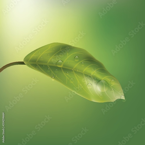 Leaf