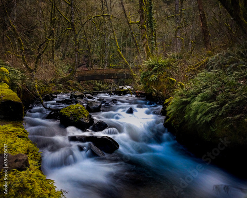 mountain river in the forest