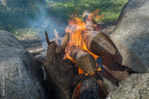 The red flame of a smoky fire, built among large gray boulders, devouring long, massive logs against a background of green grass. One of the logs resembles the horned head of an imp or animal.