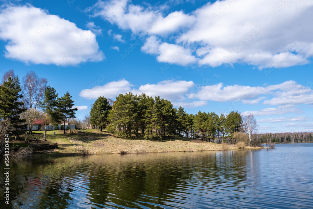A small pine grove on the banks of the Uvodsky reservoir on a sunny spring day. A small pine grove on the banks of the Uvodsky reservoir on a sunny spring day.