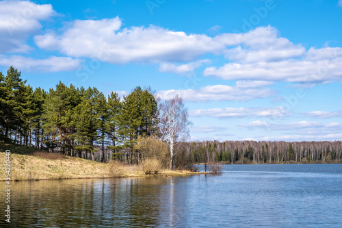 Spring landscape on the Uvodsky reservoir with a pine grove and a birch forest.