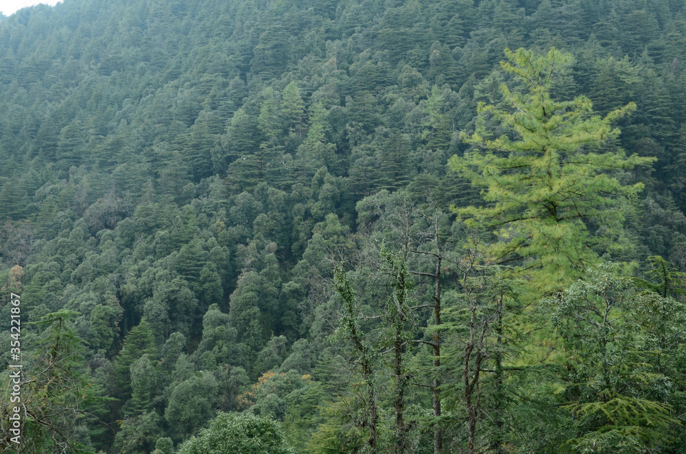 Natural Location Himachal pradesh India Natural Location Himachal pradesh India