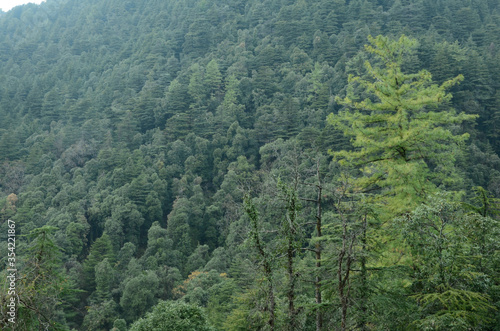 Natural Location Himachal pradesh India