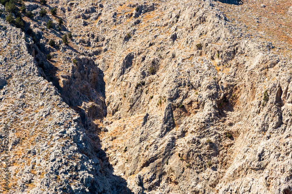 Texture of mountain rock with grass and leaves. crevices covered with vegetation. Greece, Islands Texture of mountain rock with grass and leaves. crevices covered with vegetation. Greece, Islands
