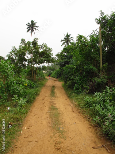 The road to the small village on West Coast of Indian Ocean, Sri Lanka